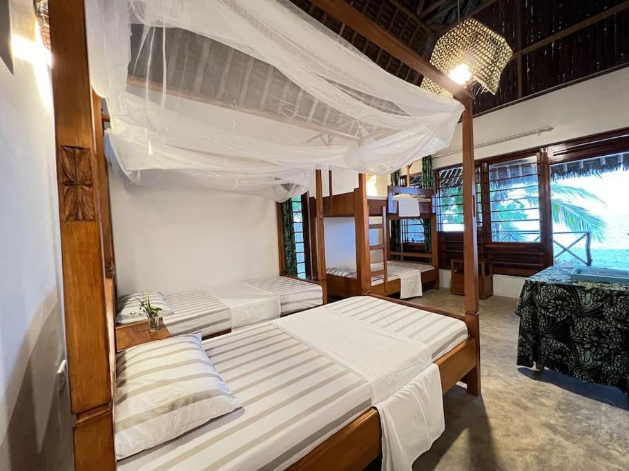 Lui Ushongo Beach House Pangani Exteriér fotografie