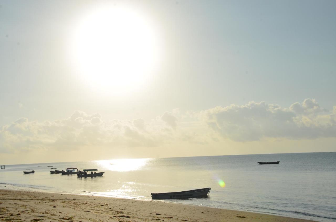 Lui Ushongo Beach House Pangani Exteriér fotografie