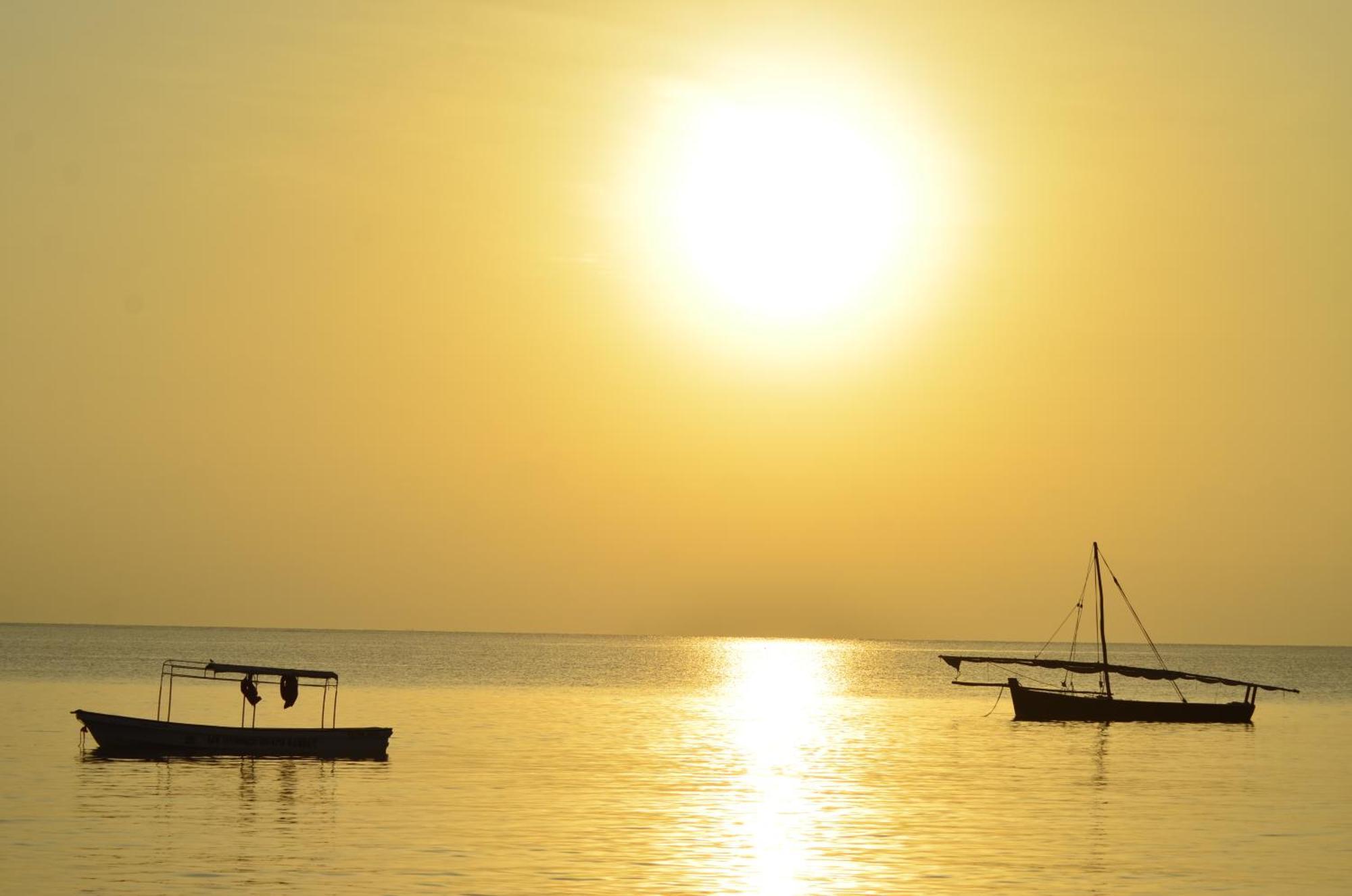 Lui Ushongo Beach House Pangani Exteriér fotografie
